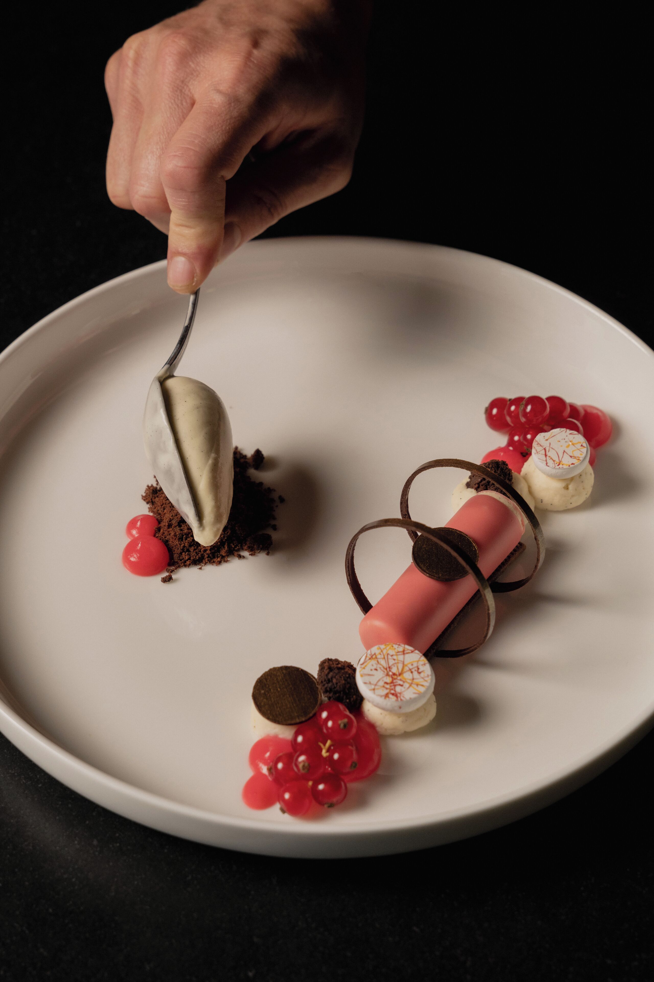 A dessert plate with various items including a scoop of ice cream, chocolate pieces, and red berries.