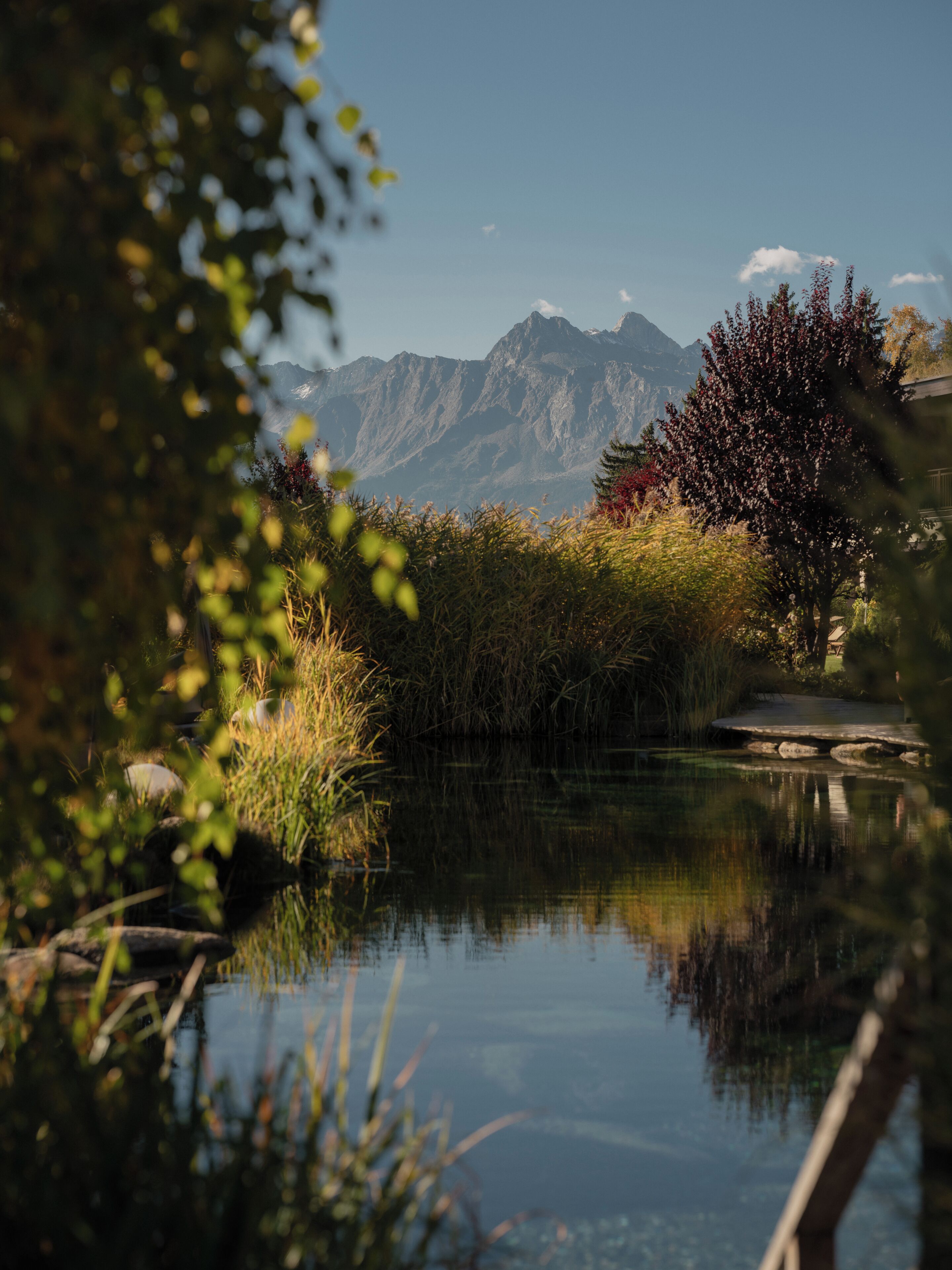 Eine friedliche Naturansicht mit Teich, üppigem Grün und einem Bergpanorama im Hintergrund.