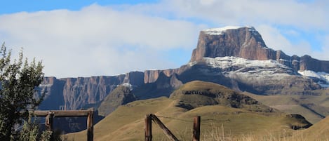 Vista desde la habitación