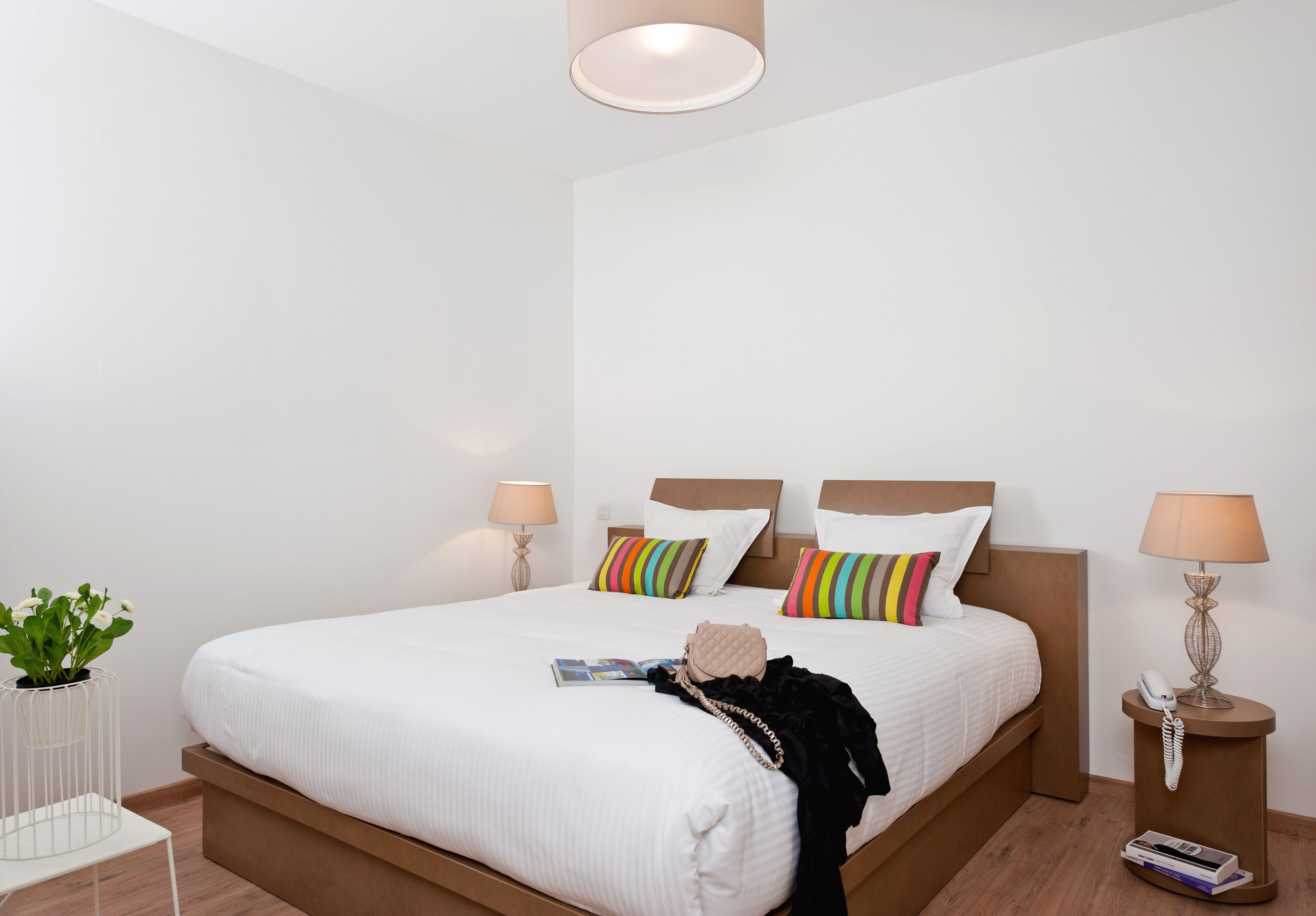 A modern hotel room with a large bed, bedside tables, a small side table, a potted plant, and a lamp.