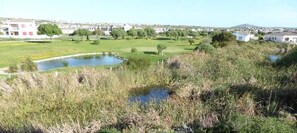 Vista desde la habitación
