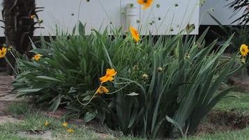 Vue sur le jardin