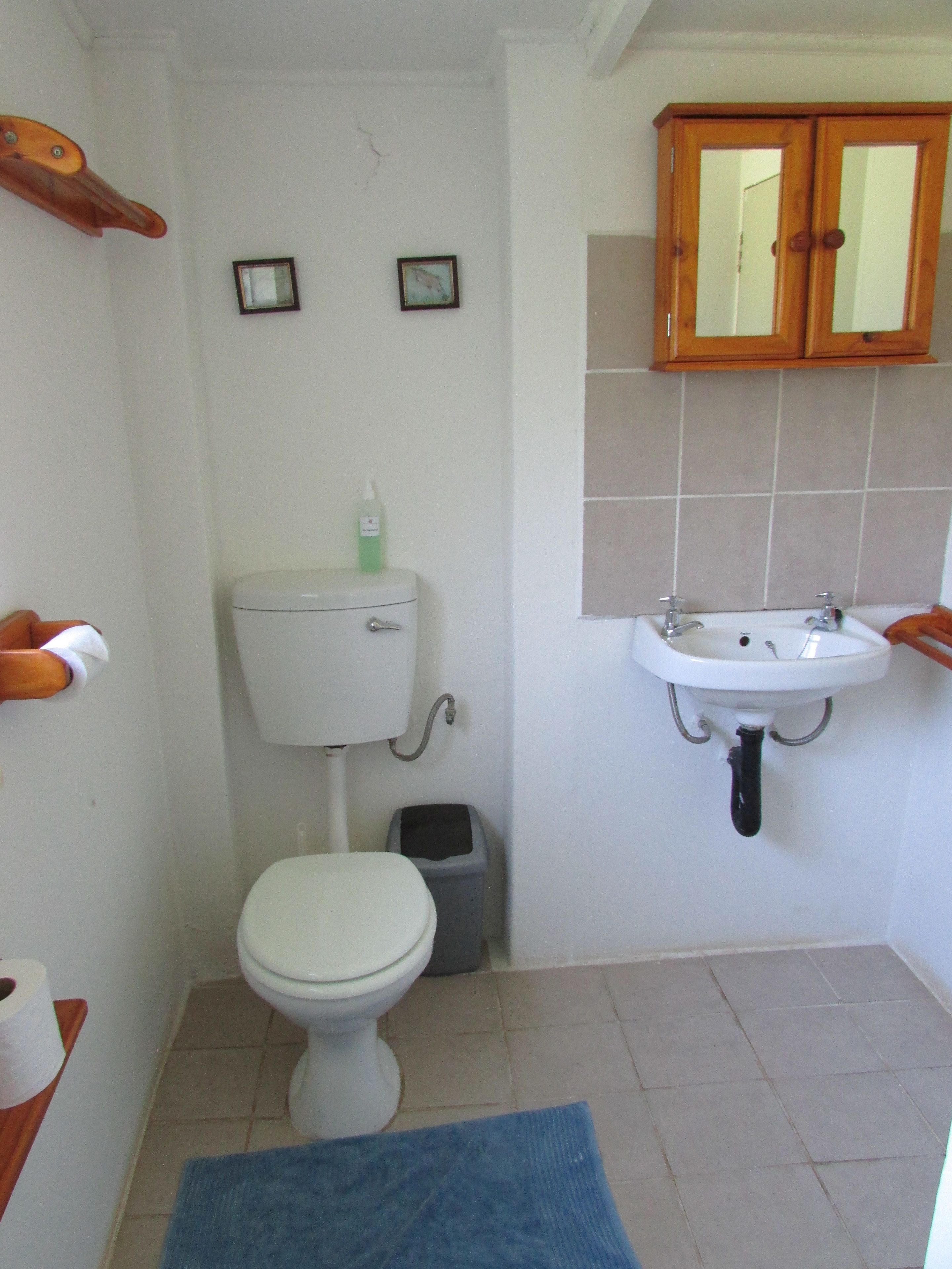 A small bathroom with a toilet, a sink, and a cabinet.