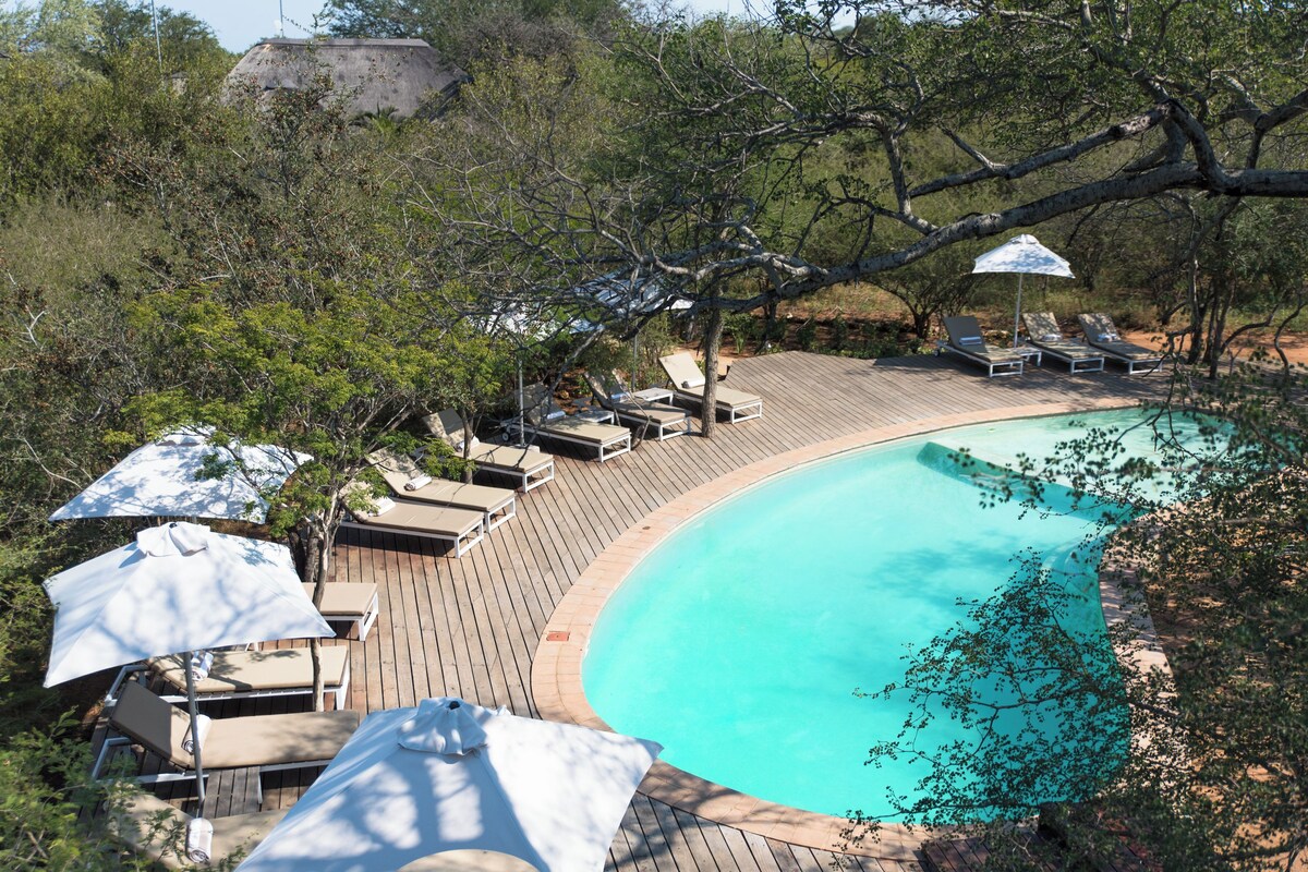 Ein Pool mit Liegestühlen und Sonnenschirmen, umgeben von Bäumen.