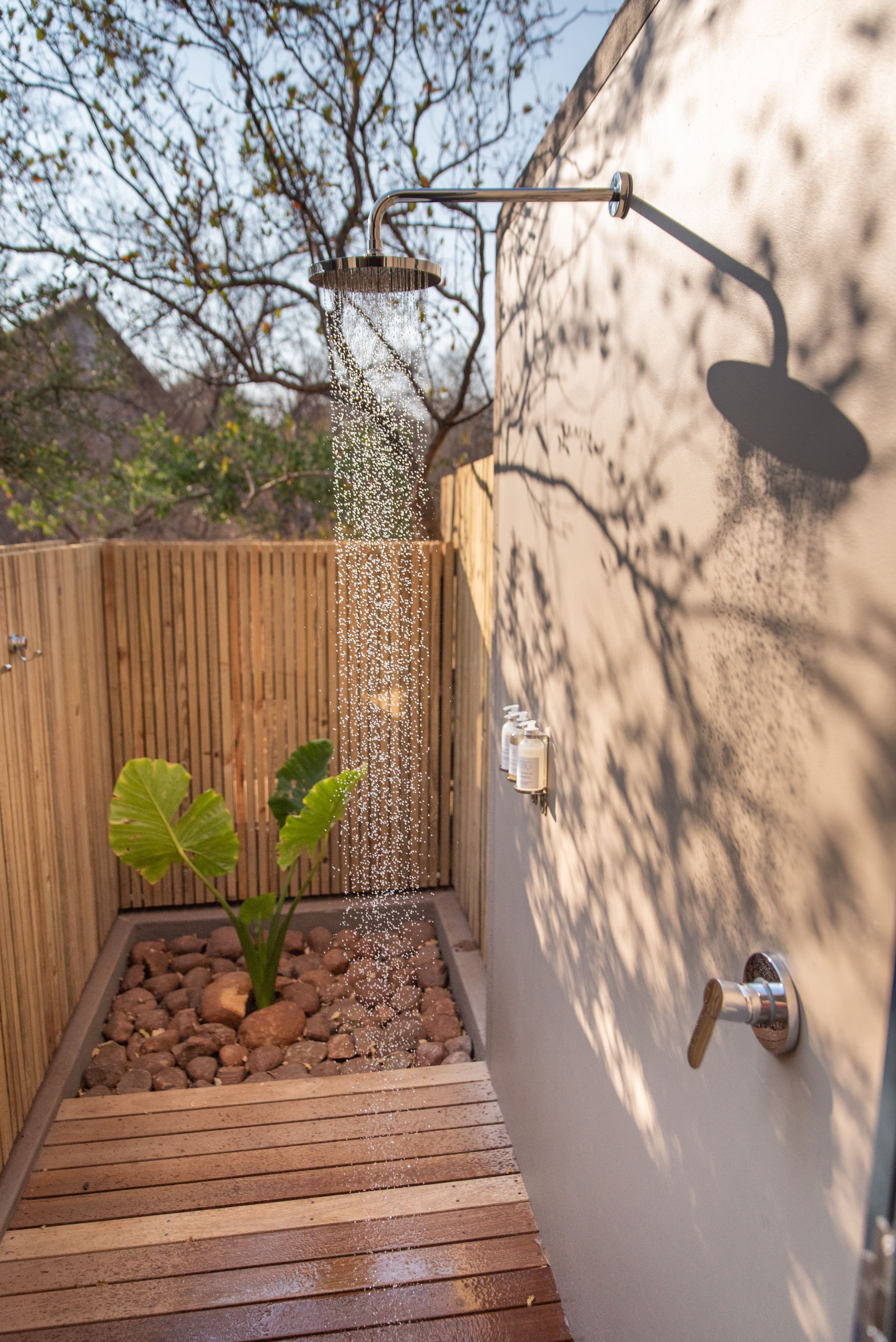A shower area with a wooden deck, a wall-mounted showerhead, and a small plant.