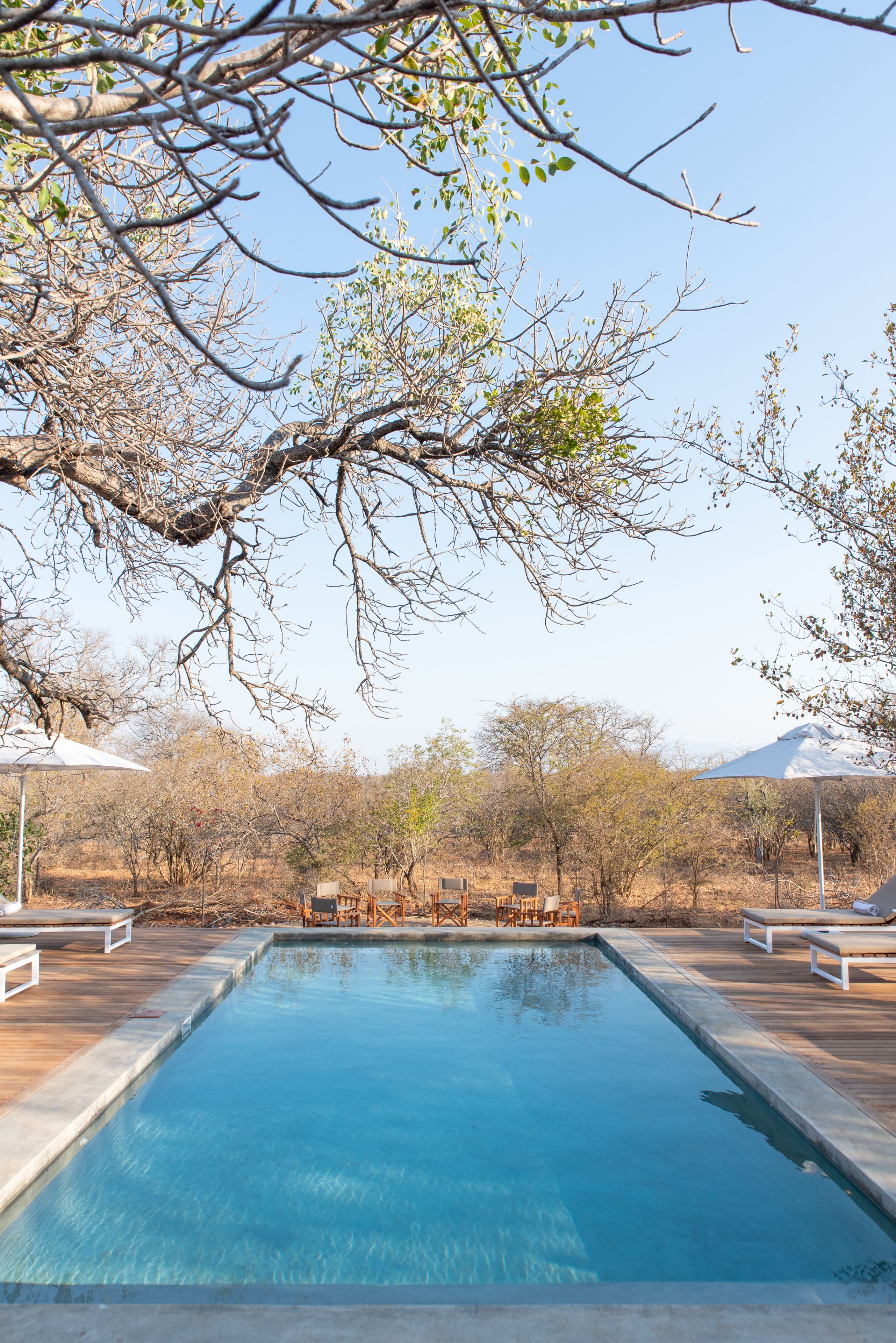 Una piscina rectangular con agua cristalina y azul, rodeada por una terraza de madera y sillas de descanso.