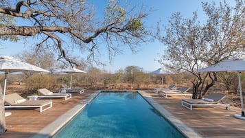 Outdoor pool, pool loungers