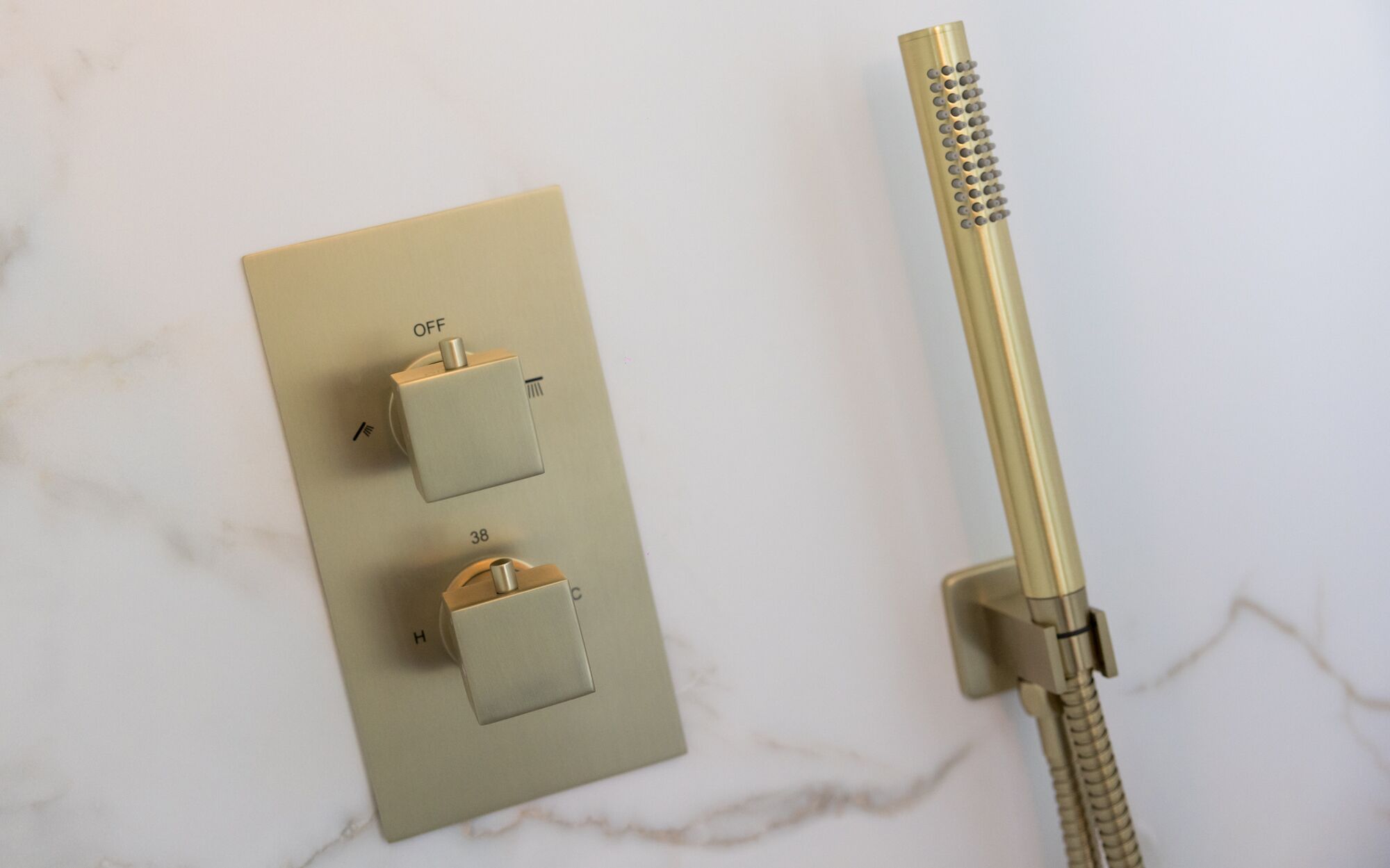 A wall-mounted control panel with two switches and a gold-colored showerhead.