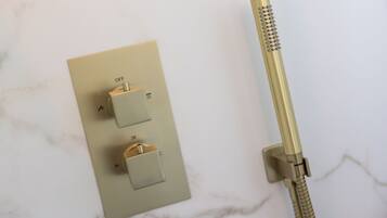 A wall-mounted control panel with two switches and a gold-colored showerhead.