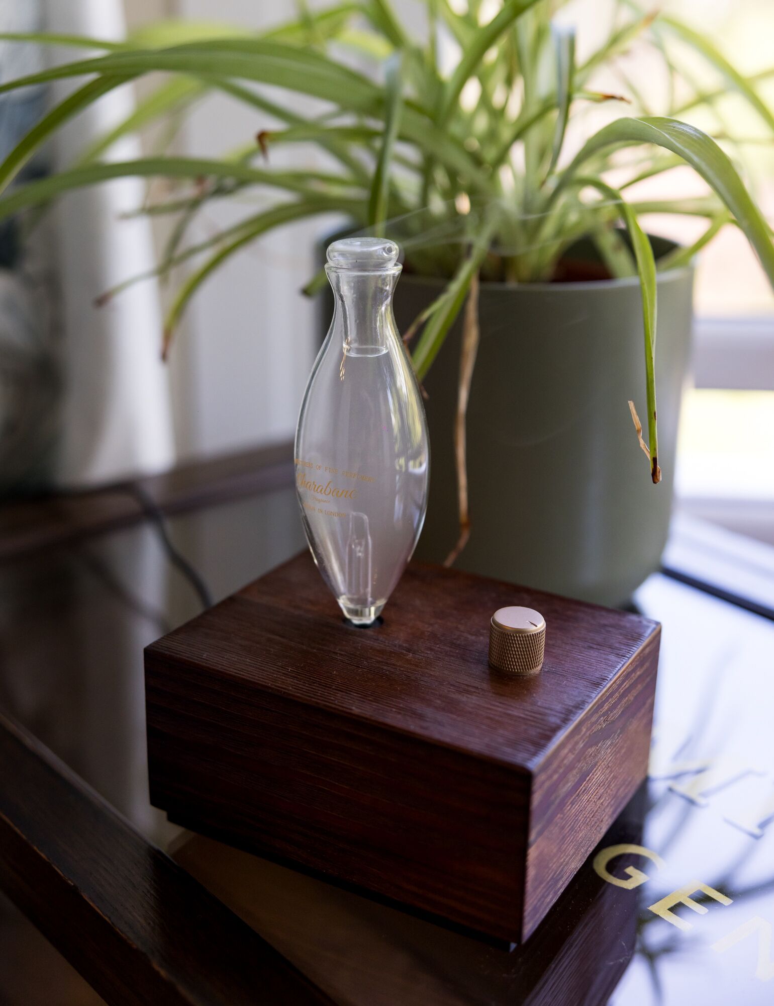 Un florero de vidrio transparente sobre un bloque de madera, una planta en maceta y un corcho al fondo.
