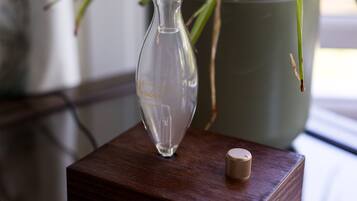 Un florero de vidrio transparente sobre un bloque de madera, una planta en maceta y un corcho al fondo.