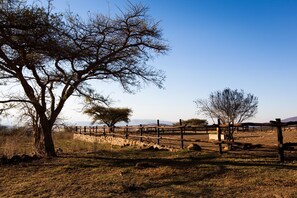 Unclassified image, 3 of 36, button - Rorkes Drift Lodge (Msinga)