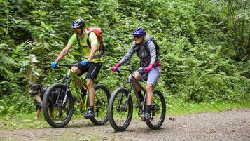 Two cyclists on a dirt path surrounded by dense greenery.