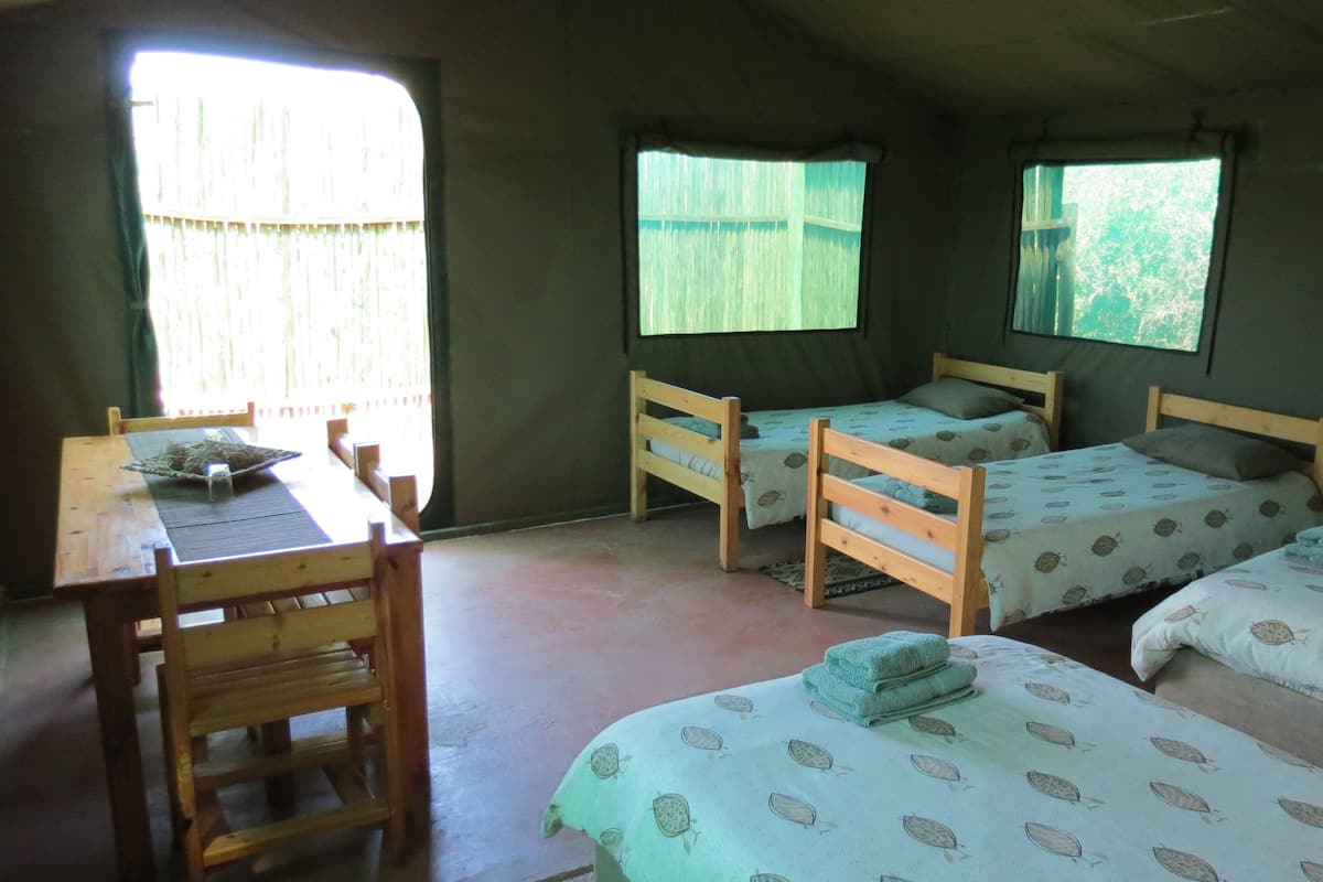 A room with three wooden beds, a wooden table, and two windows with curtains.