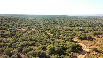 An aerial view of a dense forest with a dirt path and a green-roofed structure.