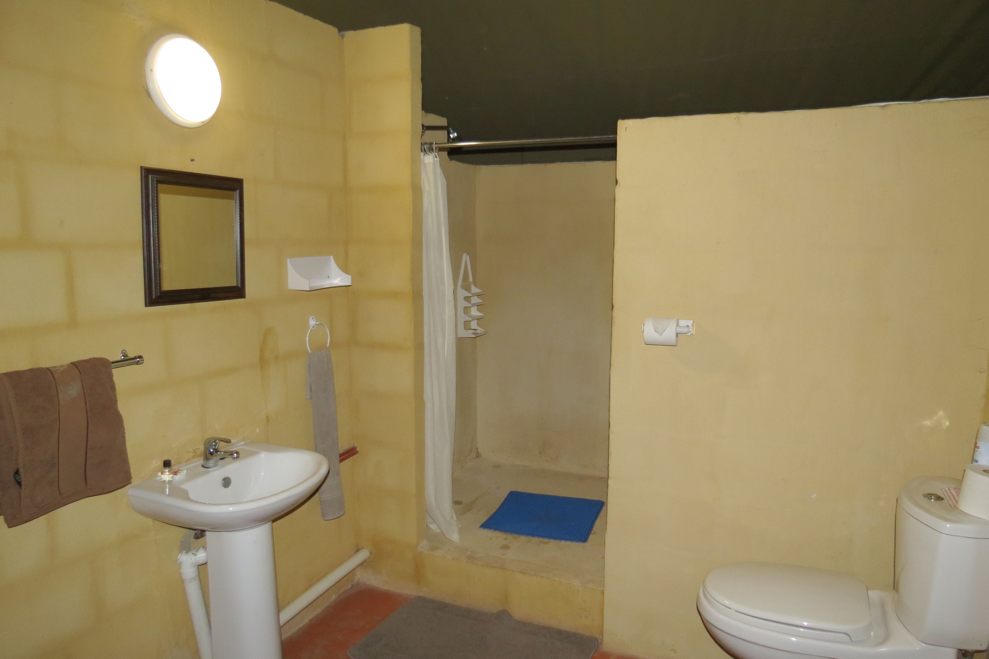 Baño con lavamanos, inodoro, ducha y espejo.