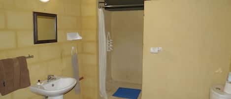 Baño con lavamanos, inodoro, ducha y espejo.
