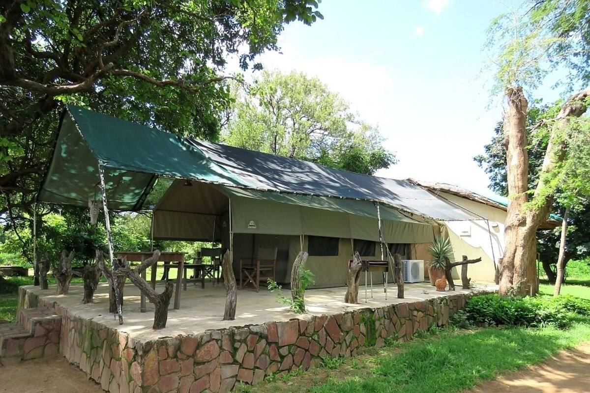 A rustic lodge with a stone foundation, a covered outdoor seating area, and a large tree in the foreground.