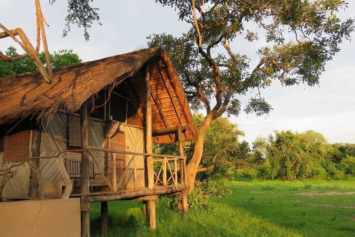 A rustic wooden structure with a thatched roof, elevated on stilts, surrounded by lush greenery.