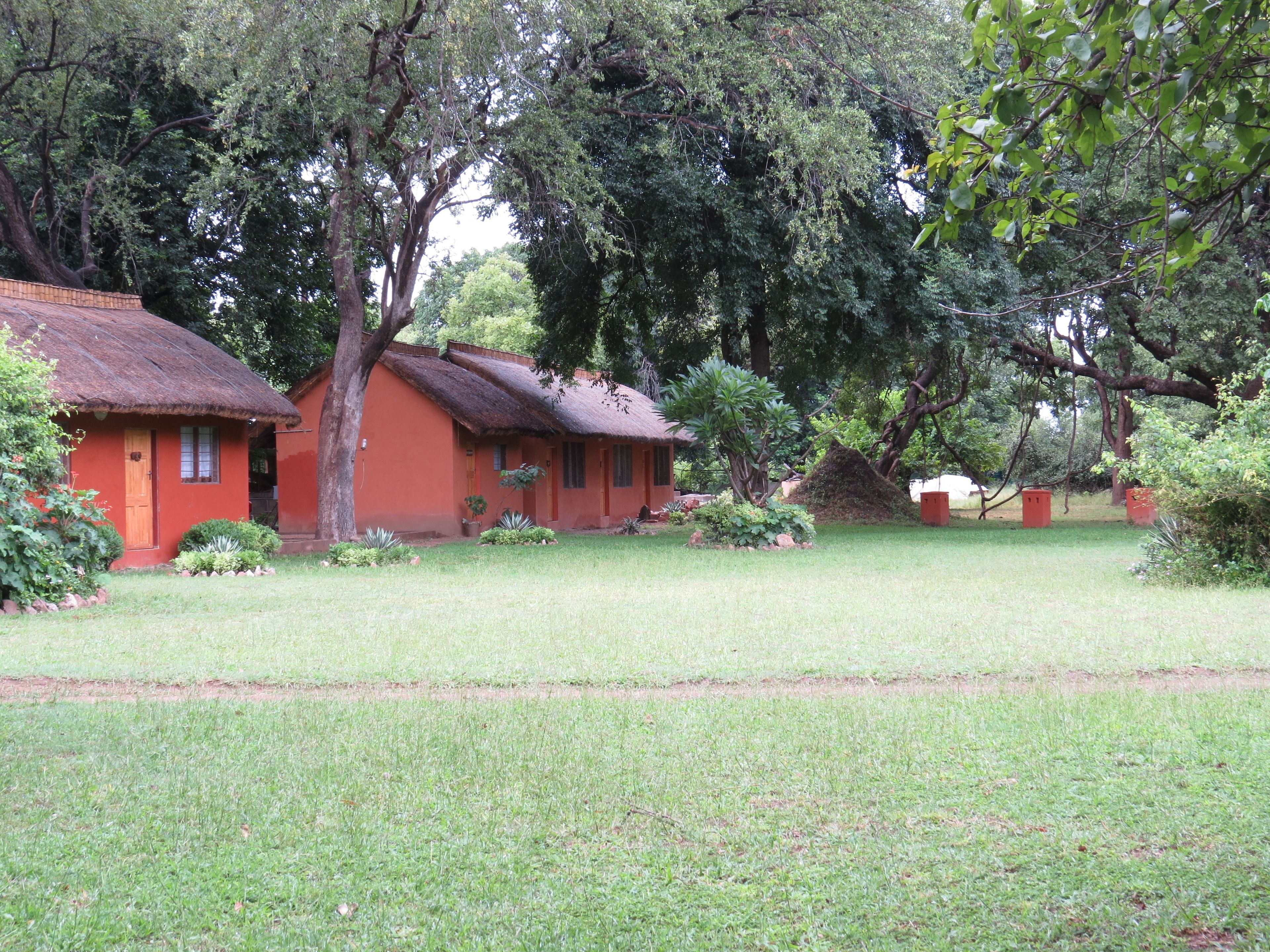 A rustic building with a thatched roof, surrounded by lush greenery and trees.
