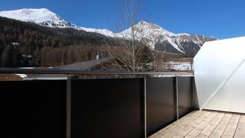 Chambre Standard avec lits jumeaux, 2 lits une place, vue montagne, côté montagne (HODZ) | Terrasse/Patio