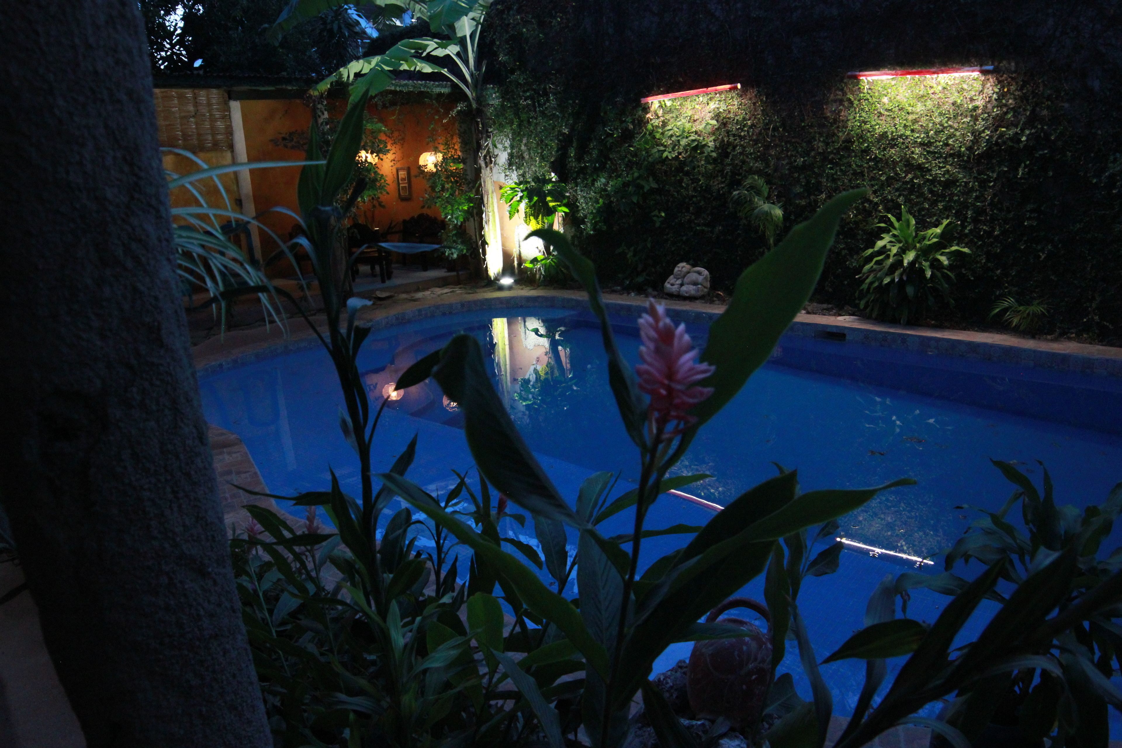 Vista nocturna de una piscina rodeada de exuberante vegetación y un muro de piedra.