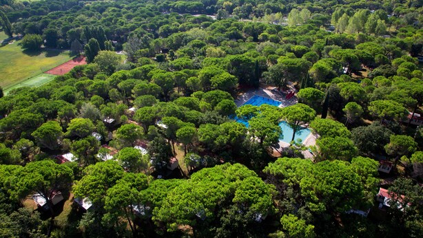 Eine Vogelperspektive zeigt ein Resort mit üppiger Vegetation, einem Schwimmbad und mehreren Villen.