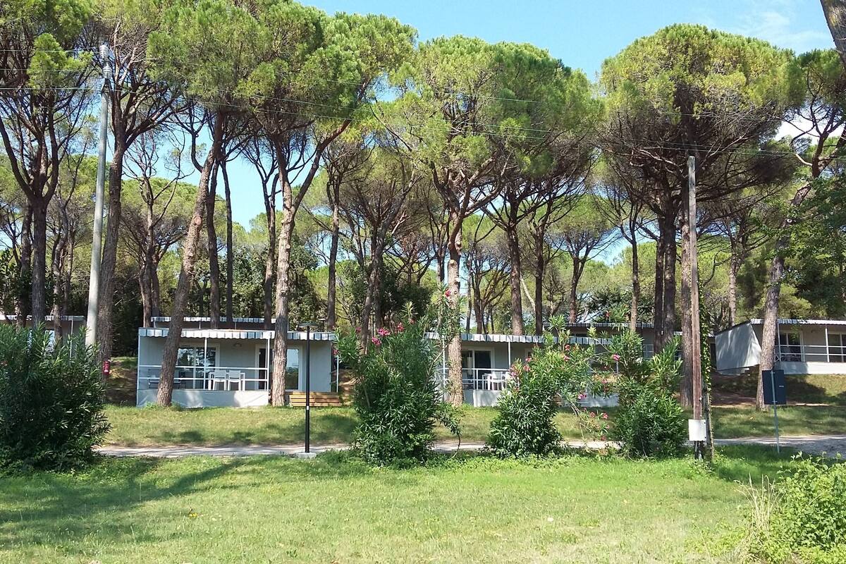 Une rangée de cabanes, avec une pelouse verdoyante et des arbres en arrière-plan.