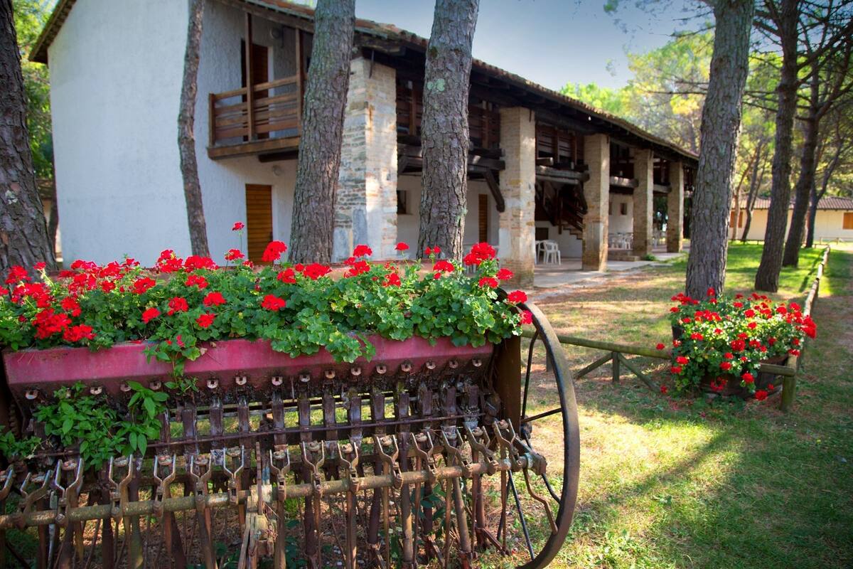 Un bâtiment rustique doté d’un balcon en bois, entouré d’arbres et agrémenté d’un parterre de fleurs rouges.