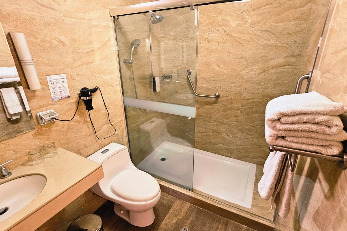 free toiletries, hair dryer, towels