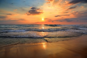 Plage à proximité