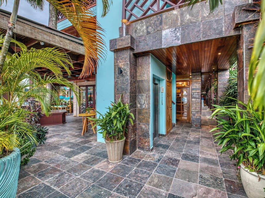 A spacious indoor area with a stone floor, wooden ceiling, and various potted plants.