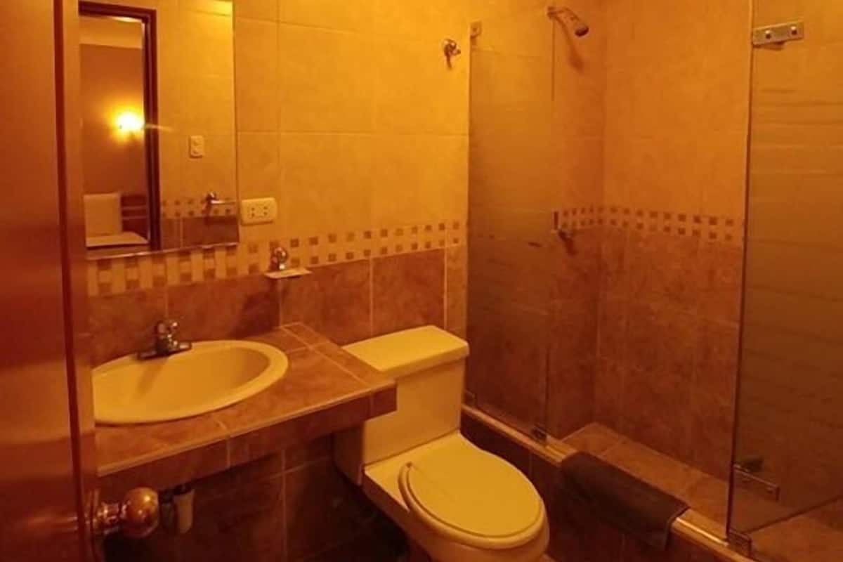 Douche, articles de toilette gratuits, serviettes fournies