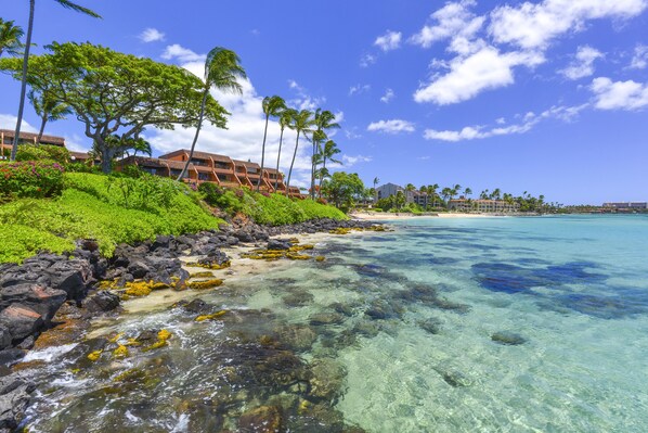 Condo, 1 Bedroom | Beach - Kuleana 706 - 1Br Condo (Lahaina)