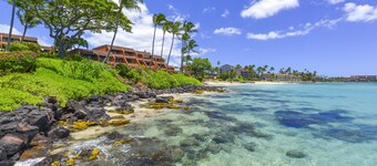 Kuleana 706 - 1Br Condo