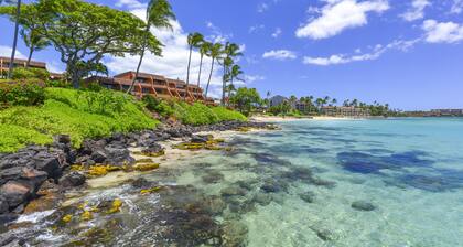 Kuleana 706 - 1Br Condo