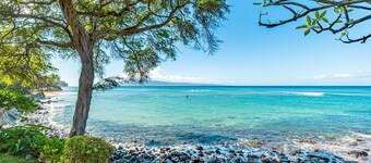 Kuleana 706 - 1Br Condo