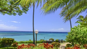 A tropical garden with a view of the ocean, a pathway, and outdoor seating.