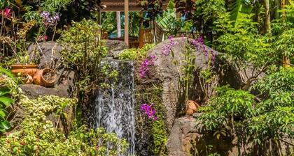 Kaanapali Shores Studio 642 Studio Bedroom Condo by RedAwning