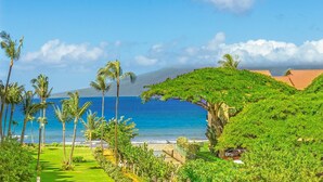 A tropical resort with a view of the ocean, palm trees, and a large tree-covered structure.