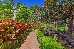 Condo, 1 Bedroom | Property grounds - Kaanapali Shores 422 - 1Br Condo (Lahaina)