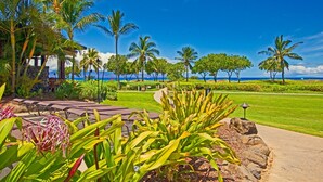 A tropical resort with a paved pathway, lounge chairs, and palm trees.