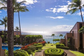 Condo, 1 habitación | Áreas de la propiedad