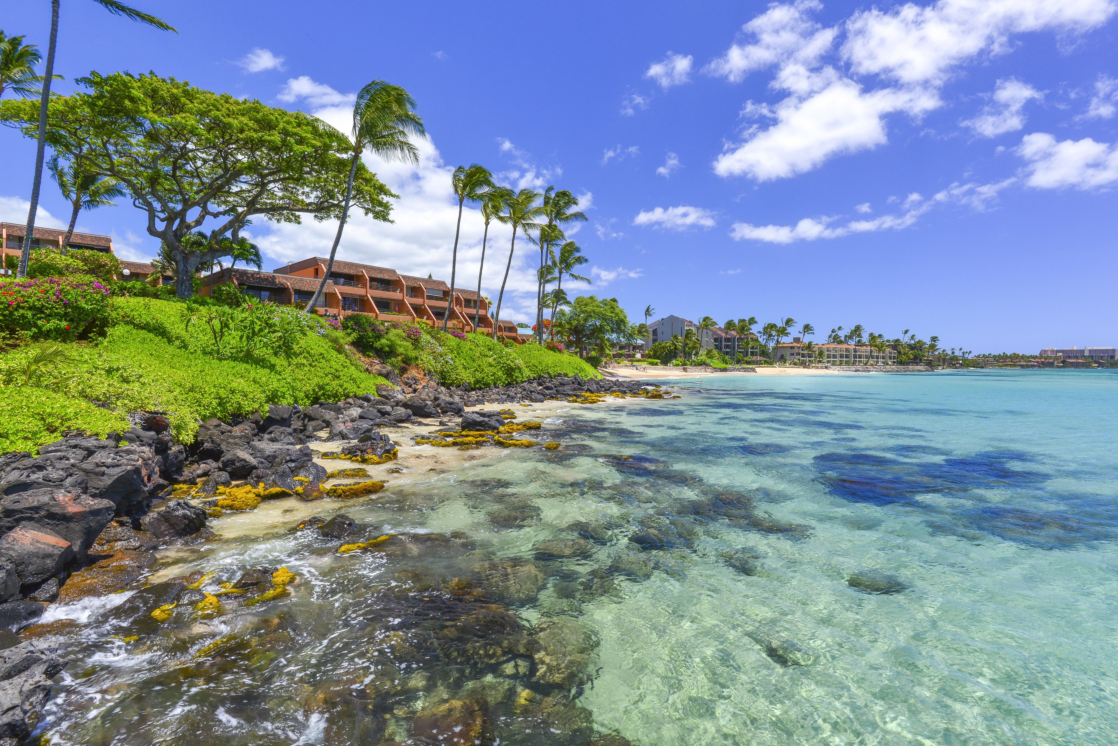 콘도, 침실 1개 | 해변 | 근처 해변