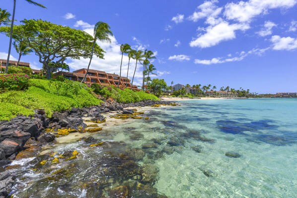 Condo, 1 habitación | Playa | Playa en los alrededores