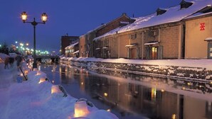 A snow-covered canal with buildings on one side and a street with street lamps on the other.