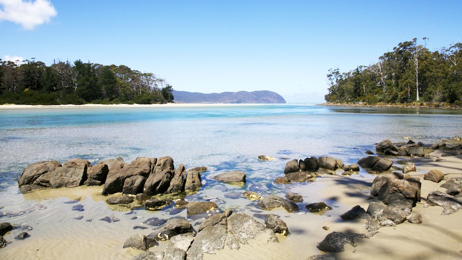 Bruny Island Lodge