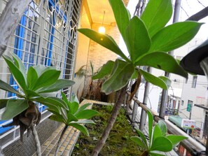 風格四人房, 1 間臥室, 陽台 | 客房景觀