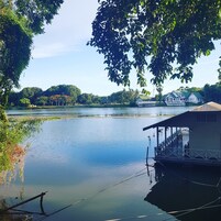 Raft Room with Fan | 客房景观