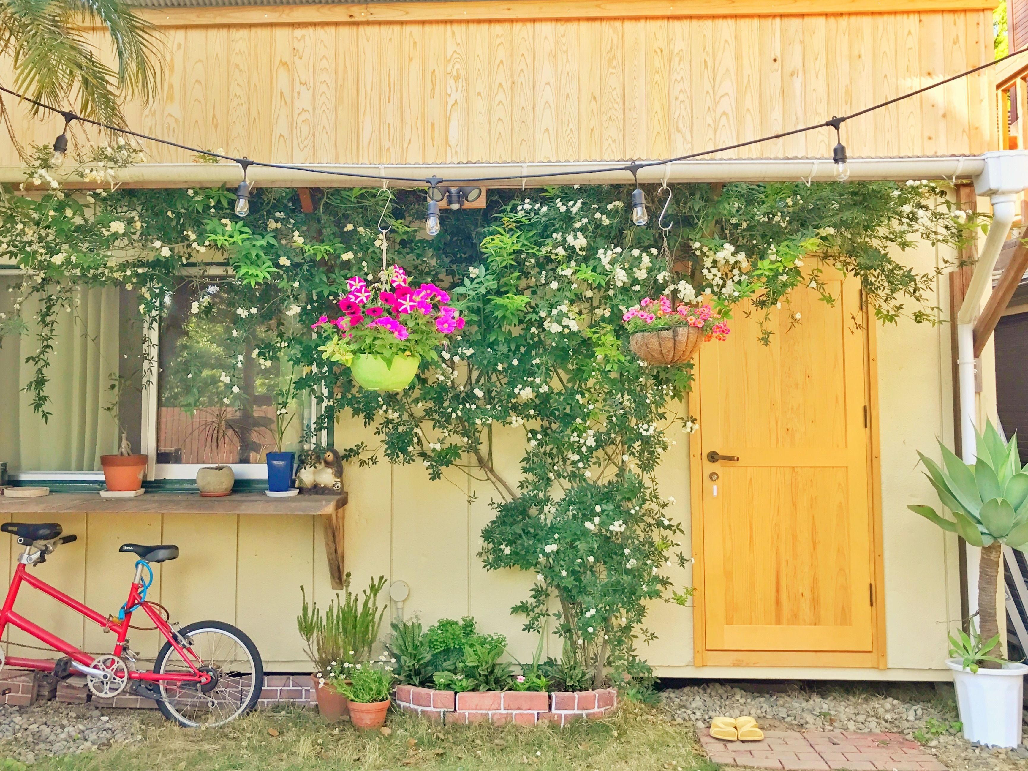 A wooden door, a red bicycle, and various potted plants.